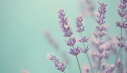 Obraz premium A single pastel color, such as mint green or lavender, providing a soothing and simple backdrop