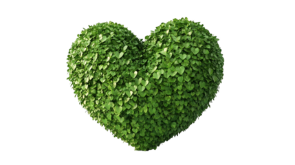 Green heart shape bush isolated transparent background