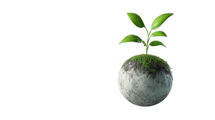 New Life on a Dusty Planet