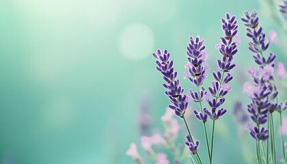 Obraz premium A single pastel color, such as mint green or lavender, providing a soothing and simple backdrop