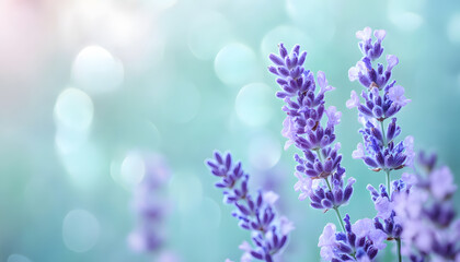 Obraz premium A single pastel color, such as mint green or lavender, providing a soothing and simple backdrop