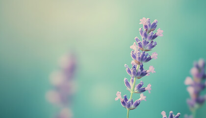 Obraz premium A single pastel color, such as mint green or lavender, providing a soothing and simple backdrop