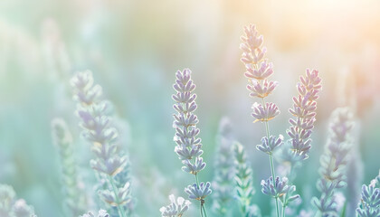 Obraz premium A single pastel color, such as mint green or lavender, providing a soothing and simple backdrop