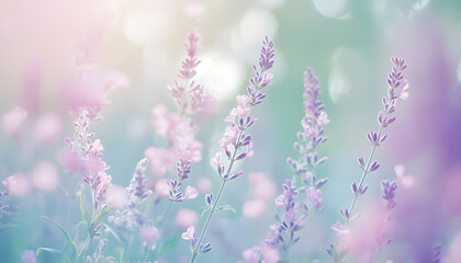 Fototapeta premium A single pastel color, such as mint green or lavender, providing a soothing and simple backdrop