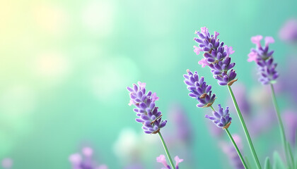 Obraz premium A single pastel color, such as mint green or lavender, providing a soothing and simple backdrop