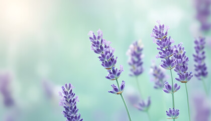 Obraz premium A single pastel color, such as mint green or lavender, providing a soothing and simple backdrop