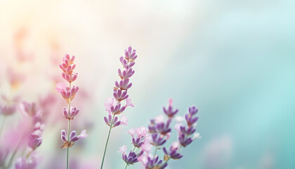 Obraz premium A single pastel color, such as mint green or lavender, providing a soothing and simple backdrop