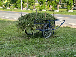 old cart with grass