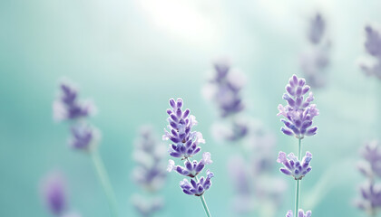 Obraz premium A single pastel color, such as mint green or lavender, providing a soothing and simple backdrop