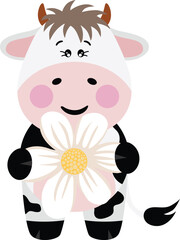 Funny cow with a flower daisy
