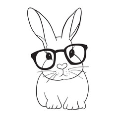 white rabbit on white