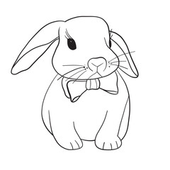white rabbit with a bow