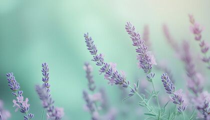 Obraz premium A single pastel color, such as mint green or lavender, providing a soothing and simple backdrop