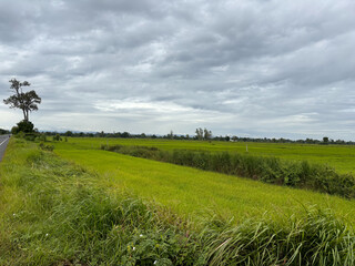 Obraz premium field and sky with clouds