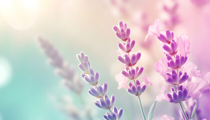 Obraz premium A single pastel color, such as mint green or lavender, providing a soothing and simple backdrop
