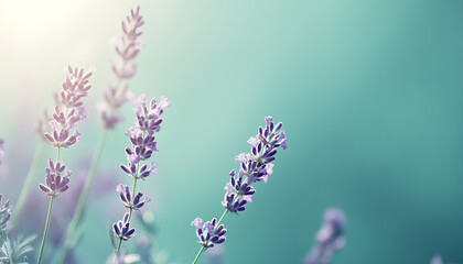 Obraz premium A single pastel color, such as mint green or lavender, providing a soothing and simple backdrop