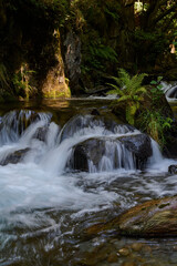The Toran River in the Val d'Aran. Pyrenees. Catalonia. Spain