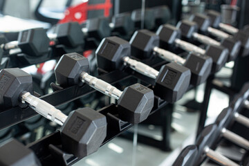 Dumbbell equipment in fitness gym, Black dumbbell.