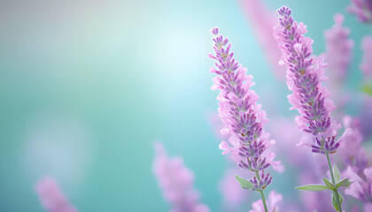 Obraz premium A single pastel color, such as mint green or lavender, providing a soothing and simple backdrop