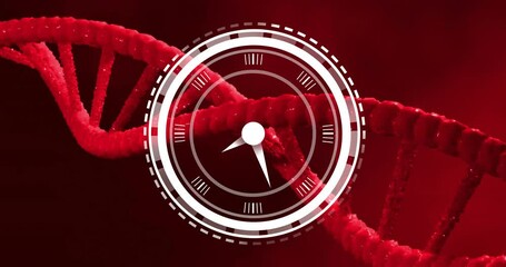 Clock animation over red DNA strand background - Powered by Adobe