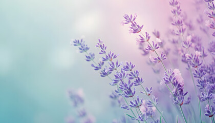 Obraz premium A single pastel color, such as mint green or lavender, providing a soothing and simple backdrop
