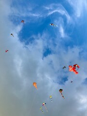 kite in the sky
