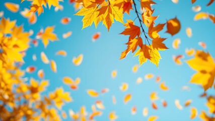 Autumn Sky with Falling Leaves and Clear Text Space