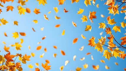 Autumn Sky with Falling Leaves and Clear Text Space