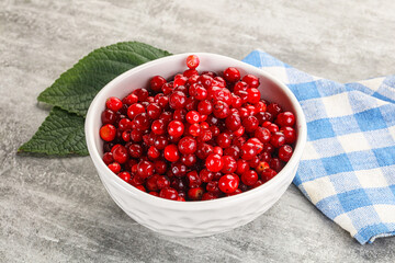 Ripe sweet wild organic cowberry