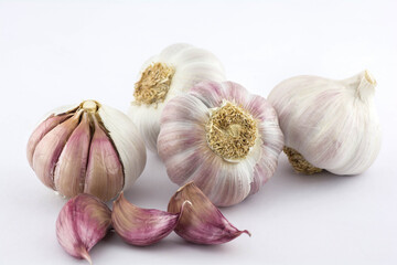 Fresh purple garlic heads and cloves on a white background