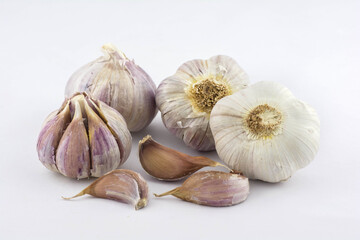 Fresh purple garlic heads and cloves on a white background