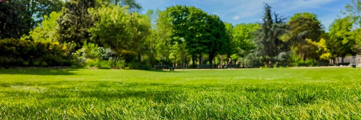 Lush, green park landscape on a sunny day perfect for outdoor activities and relaxation, ideal for Earth Day celebrations