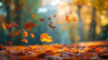 Autumn park scene with vibrant foliage and falling leaves.