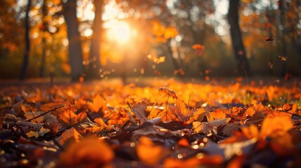 Autumn sunny nature. Rich colors and gentle light capturing unique seasonal atmosphere