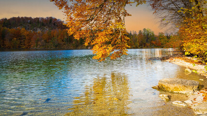 Panoramic view  of the Alpsee lake in Autumn trees season and Bavaria Alps in background, beautiful reflections in water