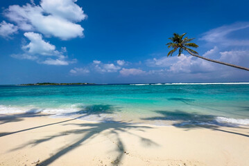 The tropical beach with  Aqua waves and coconut palm shadow on blue background.