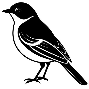 recommend clip art: illustration of a nuthatch bird