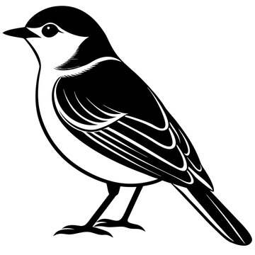 recommend clip art: illustration of a nuthatch bird