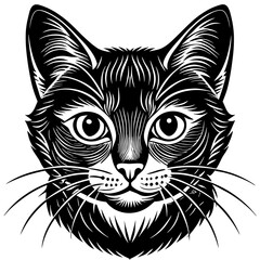 Black and white cat illustration with detailed fur and expressive eyes for graphic design