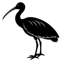 wood stork silhouette