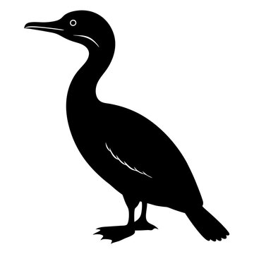 recommend clip art: cormorant silhouette isolated on white