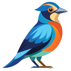 bird cartoon vector