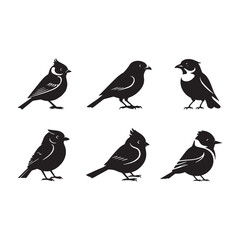 Birds Vector art illustration silhouette image icon