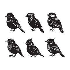 Birds Vector art illustration silhouette image icon