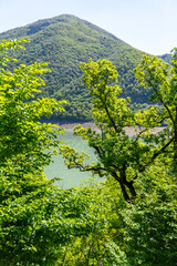 Zhinvali water reservoir on the Aragvi River through the leaves of the trees. Green grass, blue sky, mountains in the background