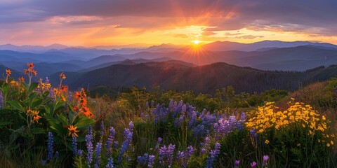 Obraz premium Dramatic sunrise over a mountain range, with the foreground alive with colorful wildflowers.