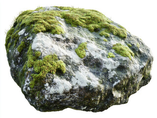 rock and moss