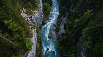 Aerial View of a Mountain River in a Lush Forest