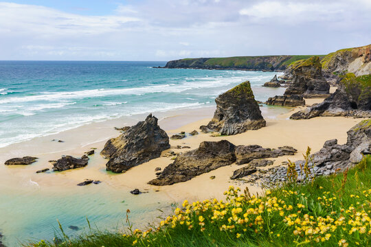 View of bedruthan steps with wild flowers and rugged rocks at sunset, Mawgan Porth, United Kingdom.