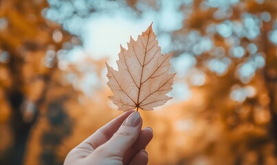 A hand holding an autumn leaf, Generative AI